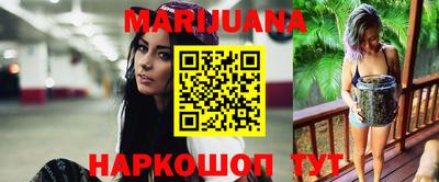 гашик Шахты