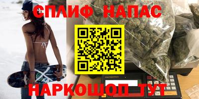гашик Шахты