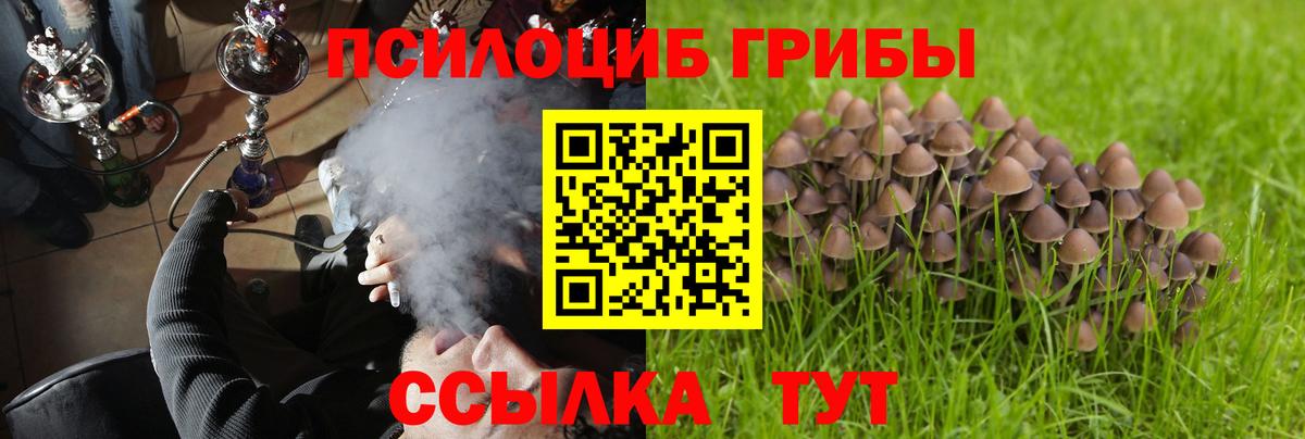 Галлюциногенные грибы Cubensis Бор